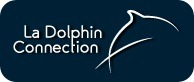 ladolphinconnection Visiter le site de La Dolphin Connection