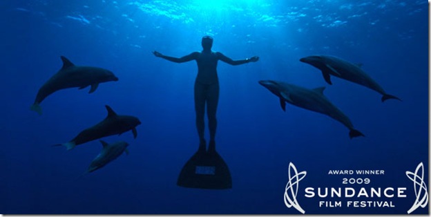 The Cove - Award Winner 2009 Sundance - Copyright : The Cove Movie