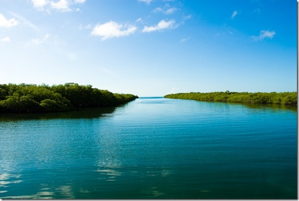 photoderek - Veradero, à Cuba