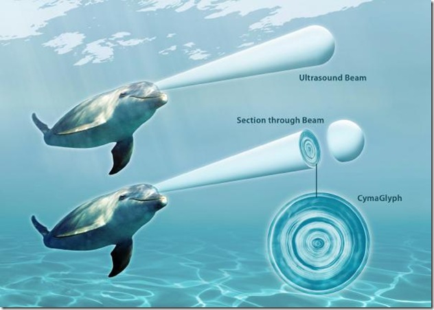La communication chez les dauphins et le principe du cymascope. Copyright: Jack Kassewitz/John Stuart Reid