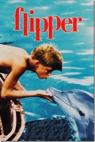 La série Flipper a créé une dauphin-mania dont les dauphins ont été les premières victimes