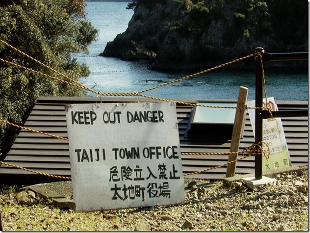 Le gouvernement japonais garde le secret sur les massacres de dauphins à Taiji Le gouvernement japonais garde le secret sur les massacres de dauphins à Taiji