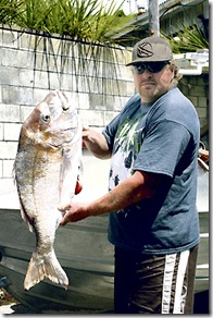 Le poisson offert par Moko - Photo du Gisborne Herald