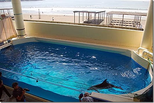 Mark J. Palmer - Aquarium d'Enoshima à Kamakura, où un dauphin vit dans un bassin ridiculement petit... Mark J. Palmer - Aquarium d'Enoshima à Kamakura, où un dauphin vit dans un bassin ridiculement petit...