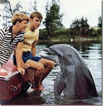 Flipper le dauphin a créé l'image d'un dauphin toute douceur et gaieté
