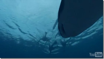 BBC Natural World - Saved By Dolphins (Vidéo)