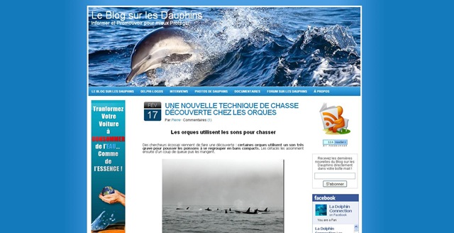 Nouveau design - Le Blog sur les Dauphins