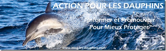 Action pour les dauphins - Le Blog sur les dauphins : Source d'information sur l'actualité des dauphins et des personnes impliquées dans leur défense, leur protection ou la recherche sur les cétacés. Action pour les dauphins - Le Blog sur les dauphins : Source d'information sur l'actualité des dauphins et des personnes impliquées dans leur défense, leur protection ou la recherche sur les cétacés.