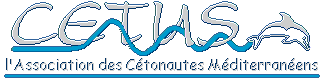 cetus3