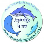 Mon école, ma baleine