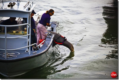Otarie.US.Navy.Photo-Cnet