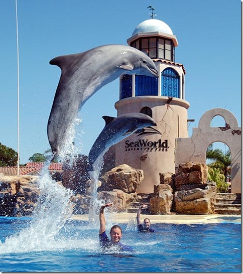 Exemple.de.show.a.seaworld