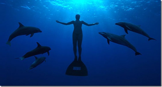 Réunissons-nous pour soutenir la cause des Dauphins du Japon !