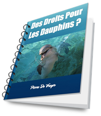Des Droits Pour Les Dauphins ?