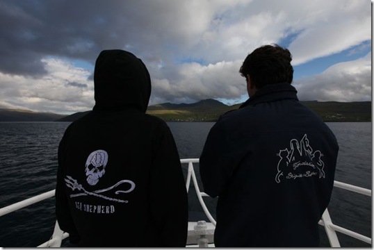 Le Sea Shepherd et la fondation Brigitte Bardot sont présents aux îles Féroé - Photo : Fondation.Brigitte.Bardot