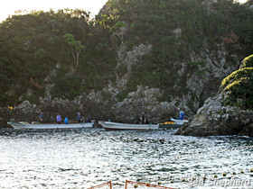 La baie de Taïji massacre du 27 10 2010 - Photo de Sea Shepherd La baie de Taïji massacre du 27 10 2010 - Photo de Sea Shepherd