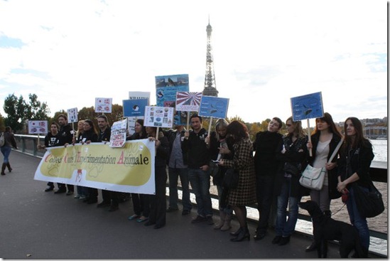 Worldwide Anti-Whaling Day, 5 Novembre