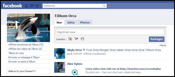 Le profil Facebook de Tilikum !
