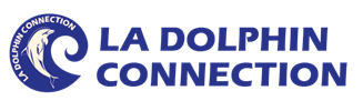 La_Dolphin_Connection_Logo_de_Maelys