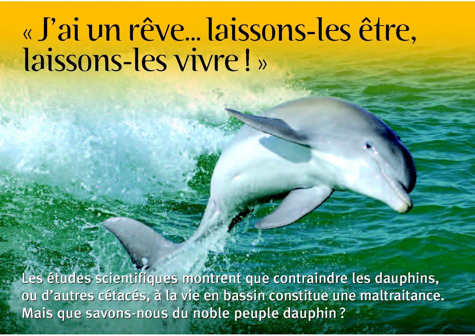 Carte-Sentience_Dauphins_2011_3e.jpg