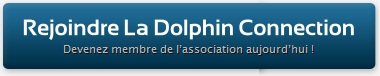 Adhérer à la Dolphin Connection !