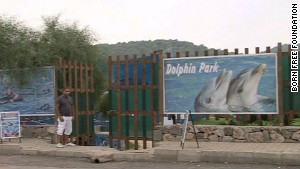 Les parcs à dauphins tels que celui qui retenait Tom et Misha sont nombreux en Turquie, mais ils ne sont pas clairement régulés.