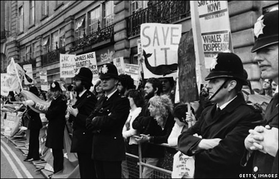 Photo d'archive d'une des manifestation du mouvement Save The Whales
