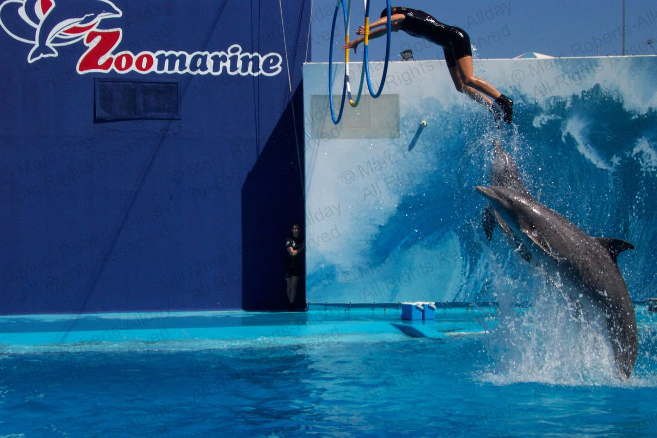 rencontre avec les dauphins marineland avis
