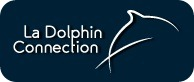 Visiter le site de La Dolphin Connection