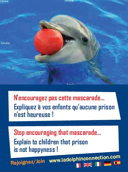 Le tract de l'Opération pour les dauphins d'Antibes