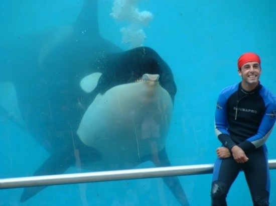 Ike à Marineland