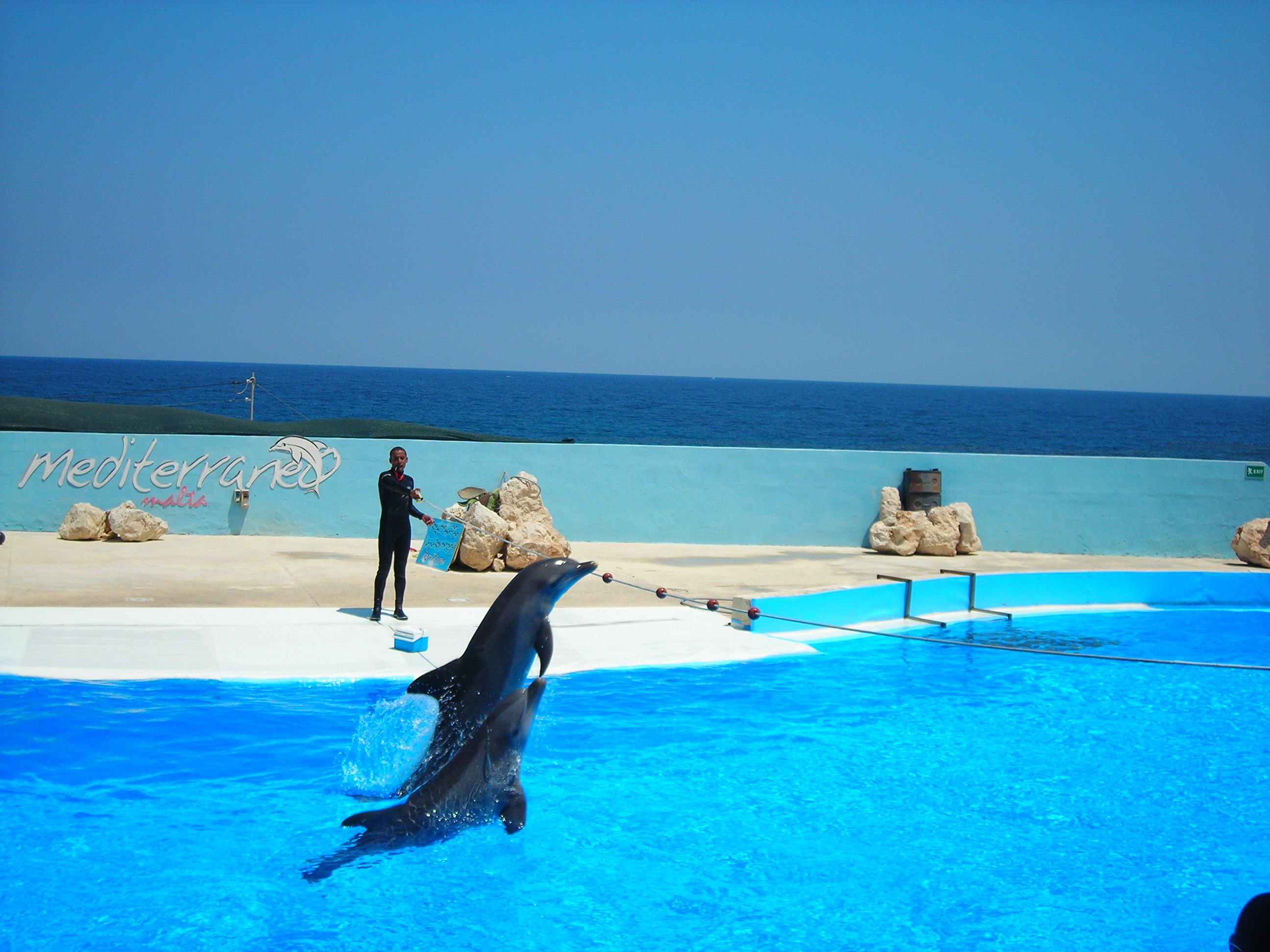 Le delphinarium de Malte