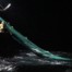 Vidéo de Sea Shepherd - dauphins pris dans un chalut