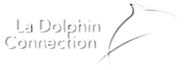 Les Dauphins Logo
